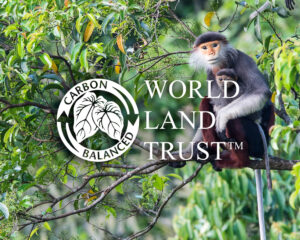 World Land Trust 